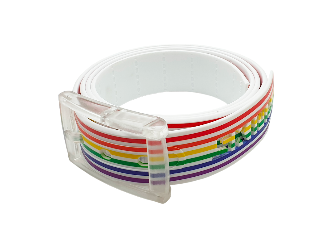 The Stripes RAINBOW