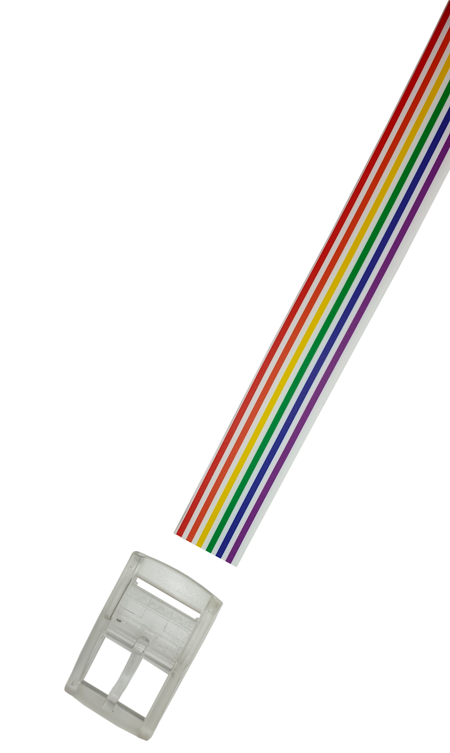 The Stripes RAINBOW