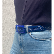 SKIMP Mountain Belt